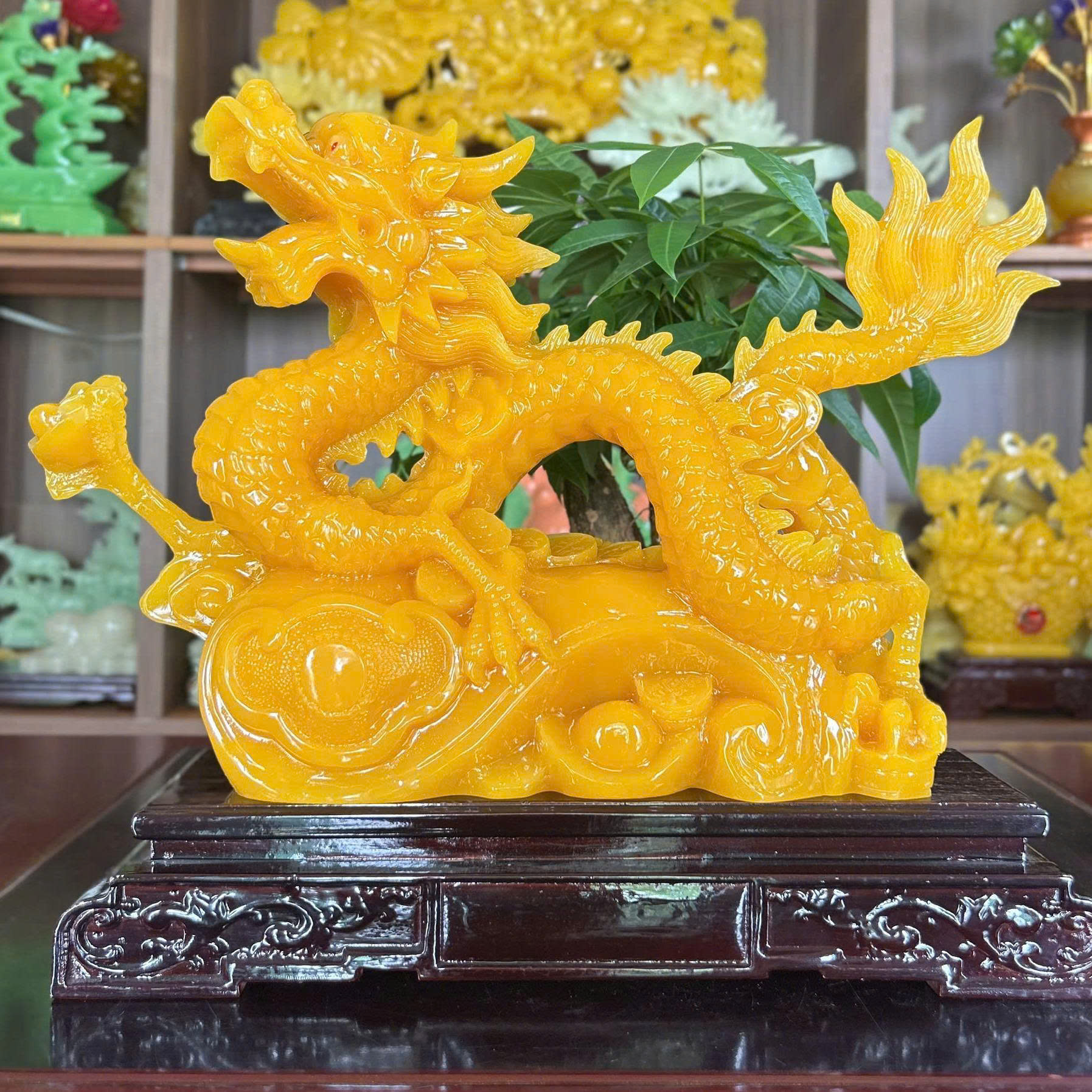 rong-vang-20260512161451.jpg